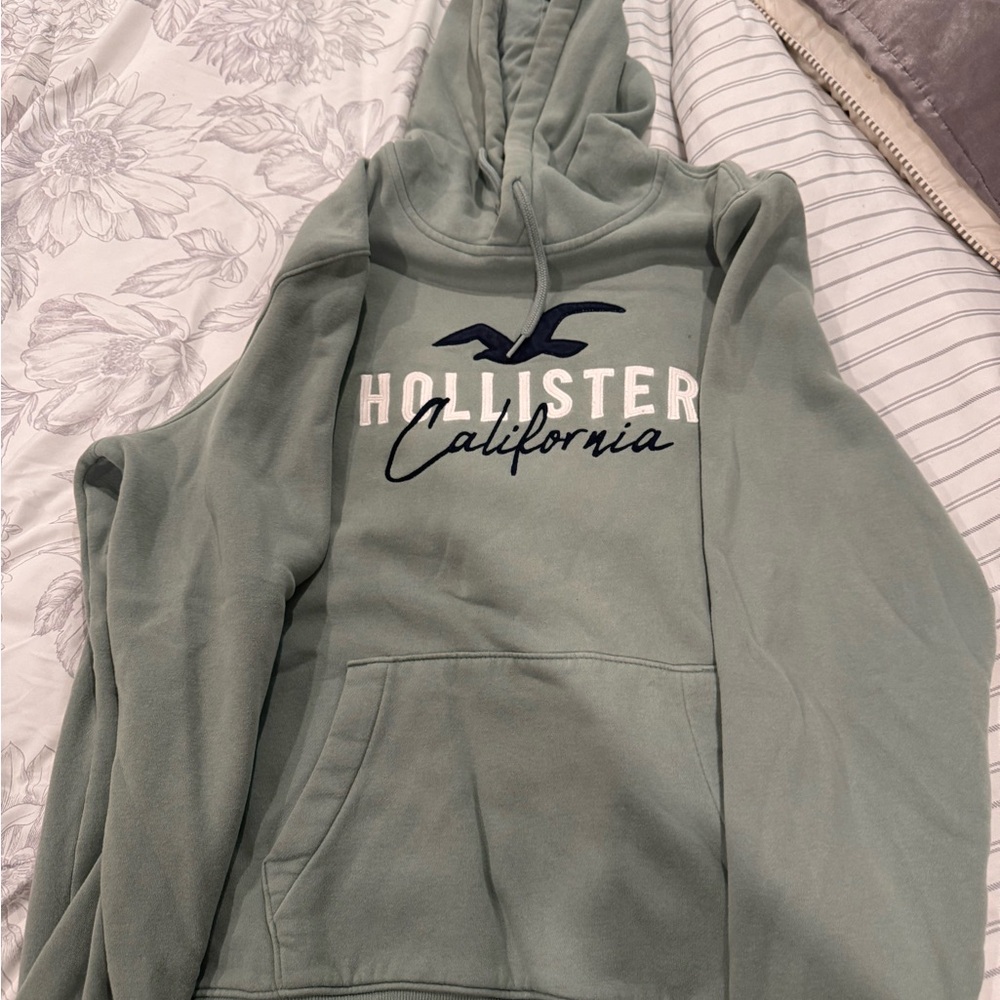 Hollister Sage Green Fleece Hoodie XL